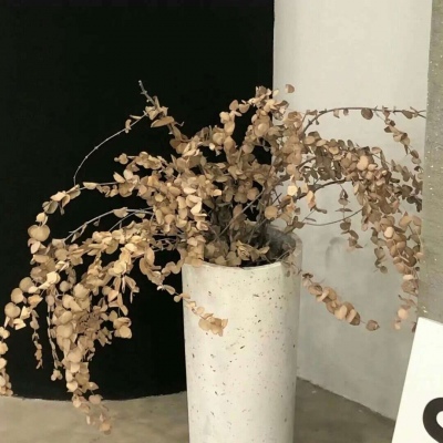 Furry兽设设计技巧兽圈群